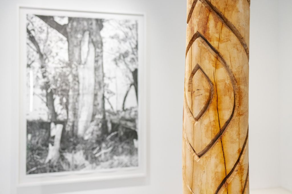 Links ein schwarz/weiss Foto von einem Baum, rechts davon ein Teil von einem mit Schnitzereien verziertem Baumstamm