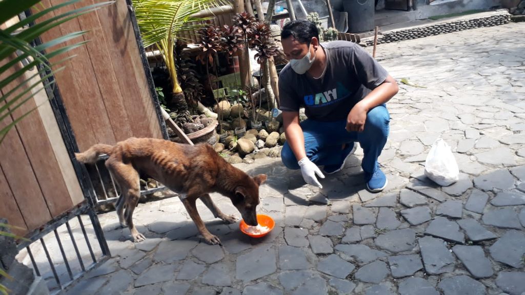 Rotbrauner Hund auf Steinboden, der aus einer orangen Schüssel etwas Helles isst, während ein Mann in Jeans und grauem T-Shirt neben ihm kauert und ihm zusieht.