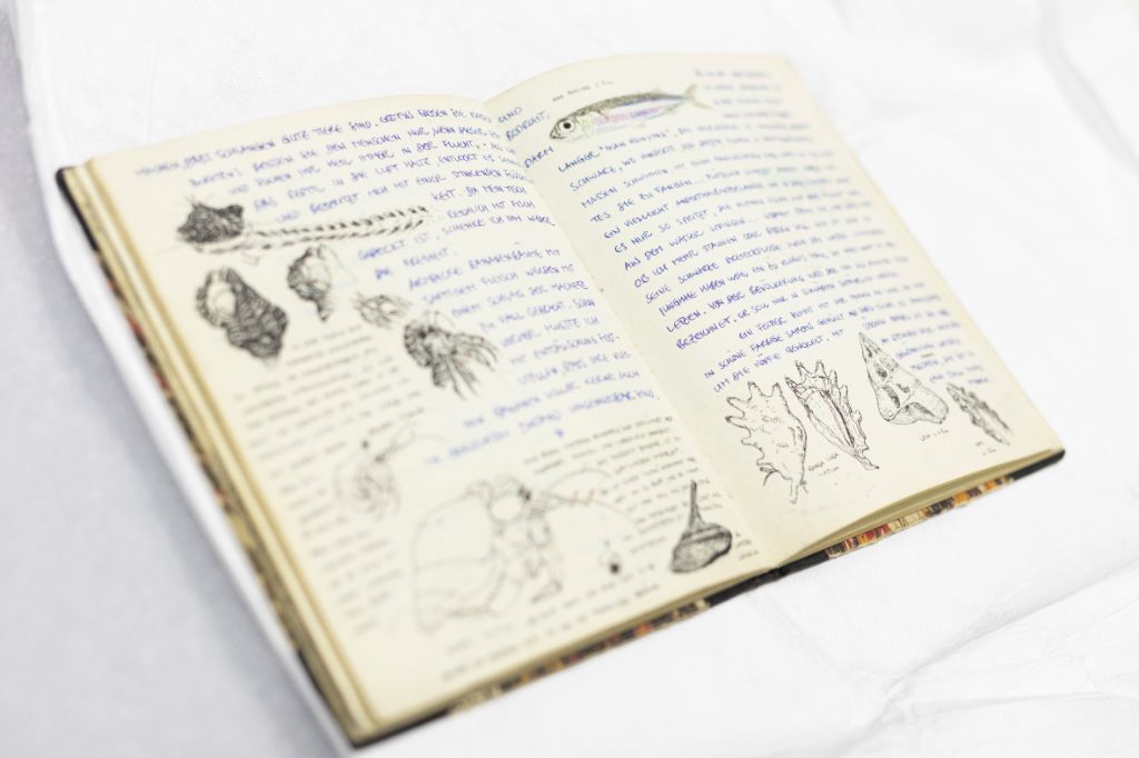 Auf weissem Papier liegt ein aufgeschlagenes Buch. Die beiden Seiten sind dicht mit blauem Kuli beschrieben und weisen auch schwarz-weiss Zeichnungen von Pflanzen und Tieren auf.