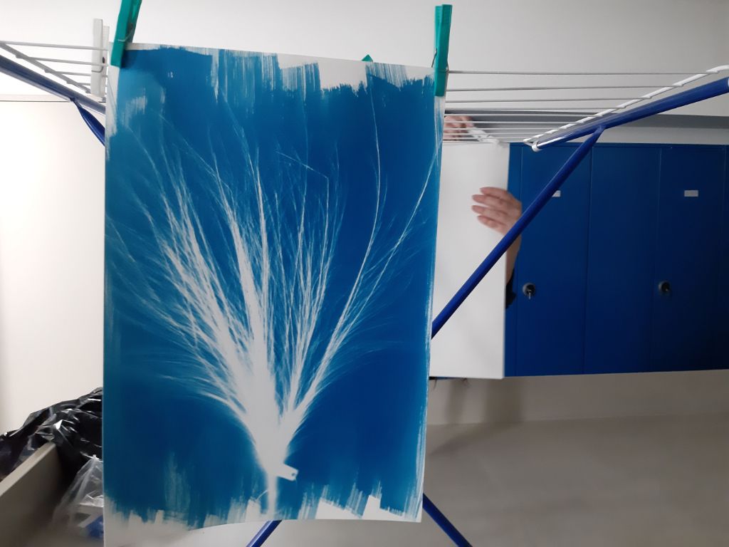 An einem blauen Wäscheständer hängt ein blaues Bild, auf dem ein weisser Federbüschel zu sehen ist.