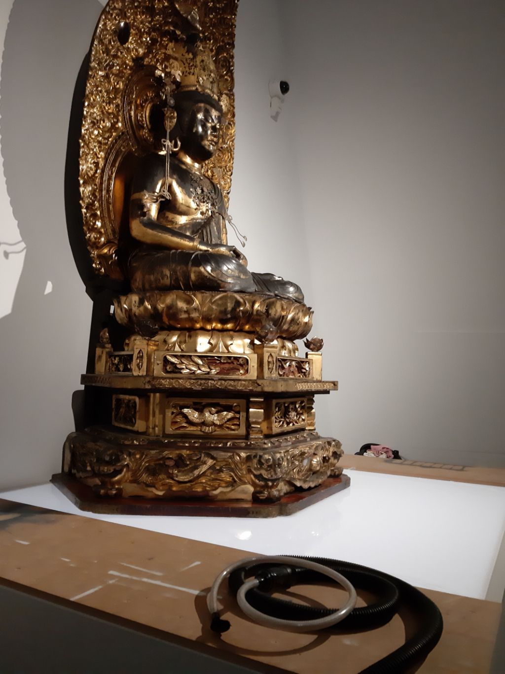 Auf einem braun-weissen Podest thront eine gold-schwarze Buddhastatue. Vor ihr liegen durchsichtige und schwarze Schläuche.