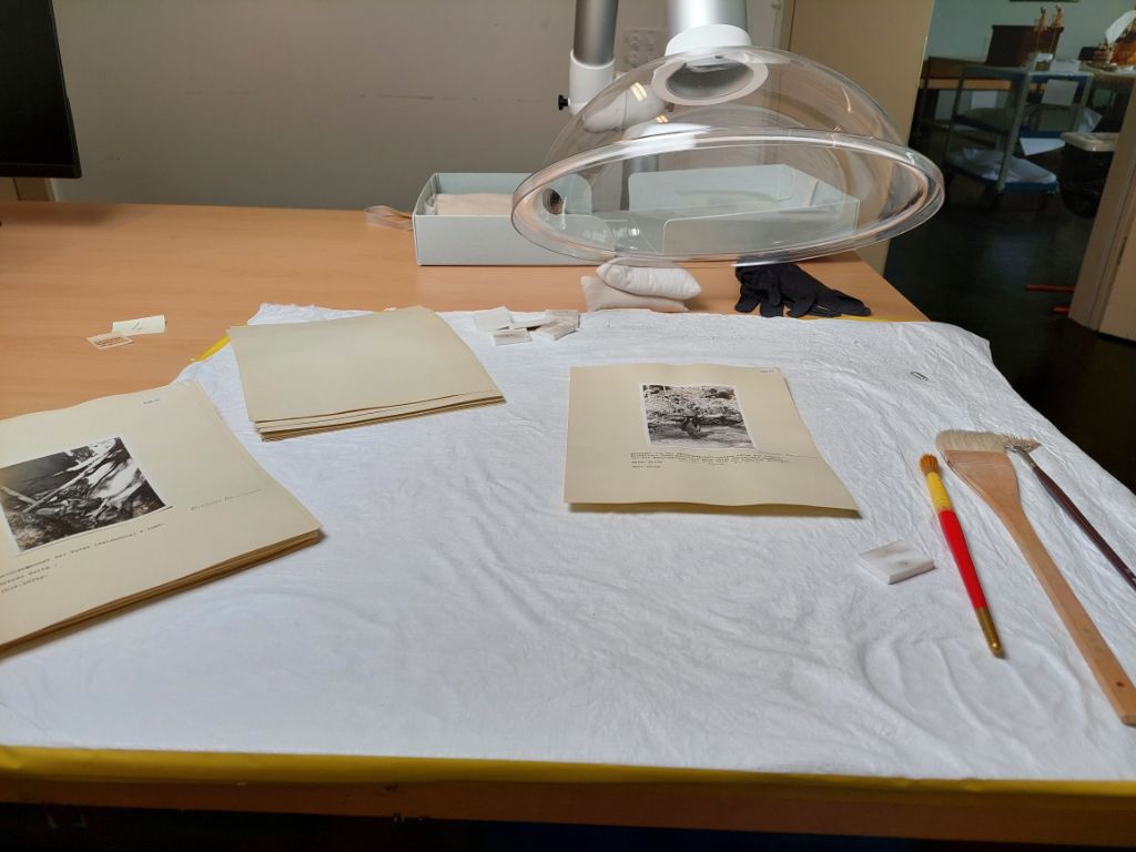 Auf einem Holztisch liegt ein weisses, viereckiges Tuch. Darauf liegen drei beige Albumseiten, auf denen Schwarz-Weiss-Fotos kleben. Daneben liegen drei unterschiedlich grosse Pinsel. Darüber ist eine transparente Lampe.