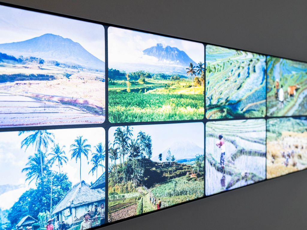 Wand mit acht Fotos von grünen Landschaften mit Reisterassen, Palmen, und Bergen im Hintergrund