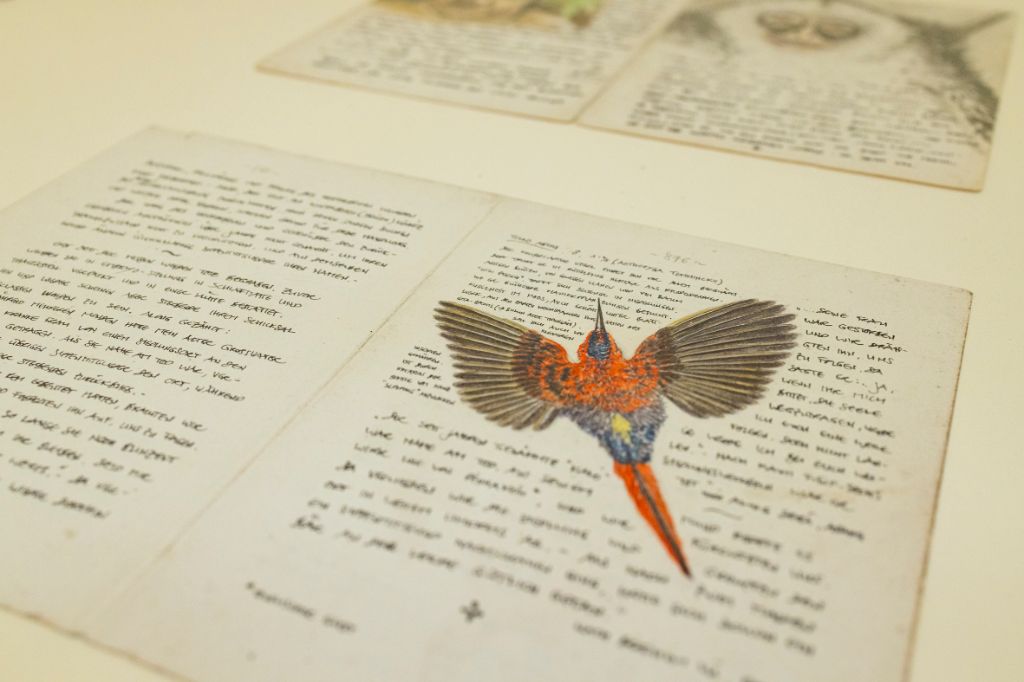 Aufgeschlagene Doppelseite aus den Tagebüchern des Basler Ethnologen Bruno Manser. Darin handschriftliche Notizen und die Zeichnung eines rotblaugefiederten Vogels mit ausgebreiteten Flügeln und spitzem langem Schnabel