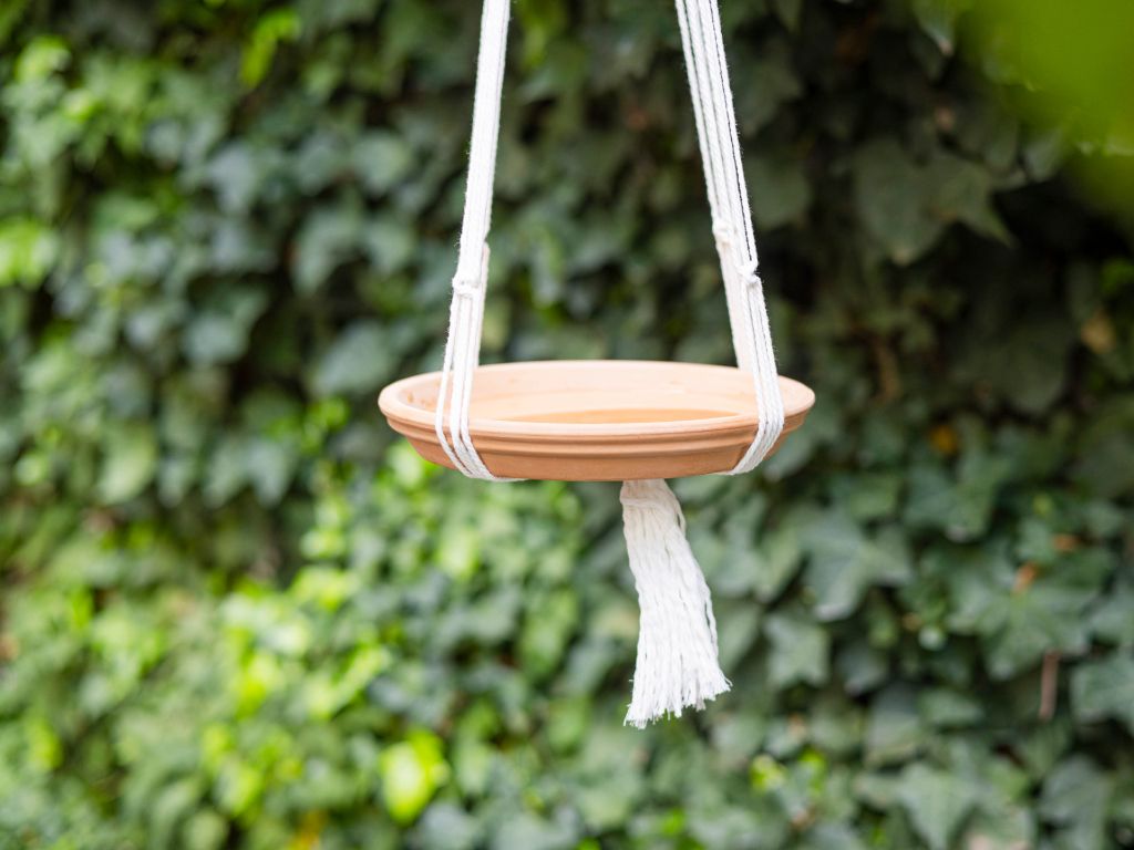 Hängende Vogeltränke aus einem Blumentopf-Untersetzer und weissen Wollschnüren, vor einer Efeuwand